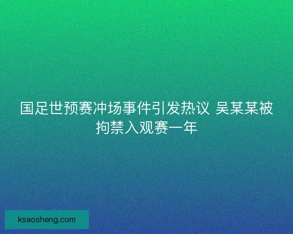 国足世预赛冲场事件引发热议 吴某某被拘禁入观赛一年